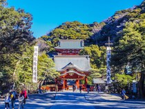 【画像：ランキング15位～1位を見る】