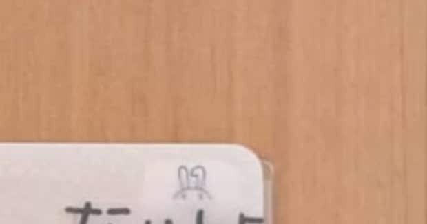 一目惚れで購入した“マイナンバーカード入れ”→引きで見ると……　156万表示の“意外すぎるデザイン”に「これ天才」「見つけたら買います！」