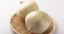 白くて丸い“大根”→料理家が細く切ったら……　まさかの中身に「編み物かと思いました」「生き生きしてますね」