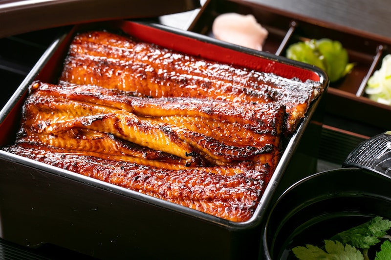 「大阪府のうな重の名店」一番うまいと思う店はどこ？　厳選された特大の青うなぎを使用した料理が楽しめるお店などを紹介！