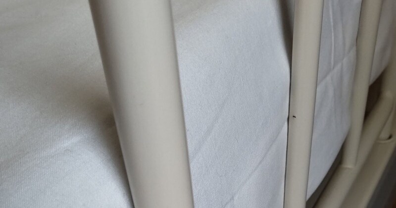 ケガをして入院中、Apple Pencilが見つからないと思ったら……「お前は忍者か!ww」 まさかの発見場所が280万表示「見つけたのがすごい」