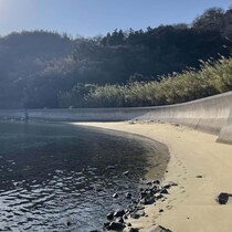 愛媛県の海でまさかの発見！　プカプカ浮かぶものの“正体”に驚がく「え？！」「ほんまや」「ネタだと言ってください」