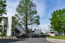 都内でよく見る“森林公園行き”　実は始発だらけの駅だった！　「座って池袋駅まで行ける」「自然を満喫できる」などの声