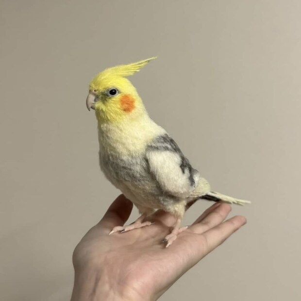 「ビビり倒した」手のひらに乗ったオカメインコをよく見ると……　“ヤバすぎる現実”が38万表示「凄まじい才能」「神業」