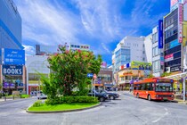 【画像：ランキング16位～1位を見る】