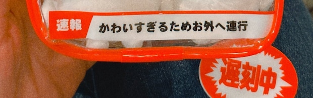 ぬいぐるみ好きによる推し活→よく見ると……まさかのアイテムに「かっ……かわいい……っ！！！」「これめちゃほしい」
