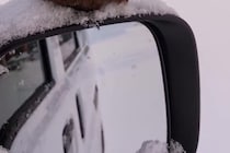 車のサイドミラーに“何か”が止まり→窓を開けたら……　「突進して来ないかヒヤヒヤした」まさかの光景に「こんな事あるんですね」