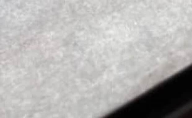 娘がクッキー生地に“食紅1瓶”投入→失敗のはずが……　衝撃の焼き上がりに「すっごい素敵」