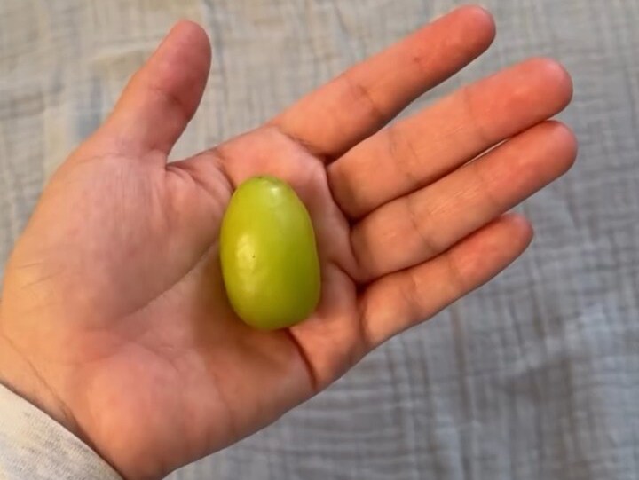 手のひらサイズの果物→赤ちゃんに持たせてみると……「うわああああ」「子どもが小さいときにやればよかった」【海外・5000万再生】