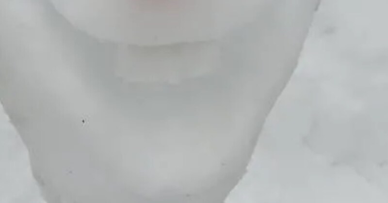 ドヤ顔の高1長女「見て！　自信作」→作った雪だるまは……　“本気すぎる仕上がり”に「プロクオリティ」「雪まつりに出品しましょ」