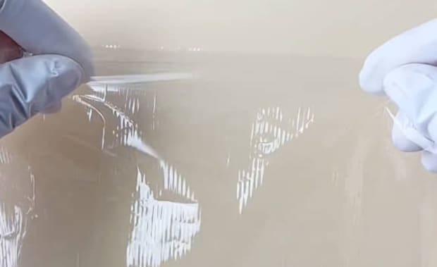 家にある食品用ラップ→ぷにぷにシールに大変身　市販品レベルの完成品に「普通に欲しいくらいかわいい」「作るの簡単そう！」