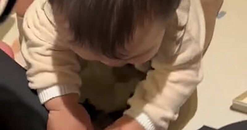パパの足を不思議そうに触る赤ちゃん→数秒後…… 予想外の反応に「人生1周目かわよ」「吹き出しました」