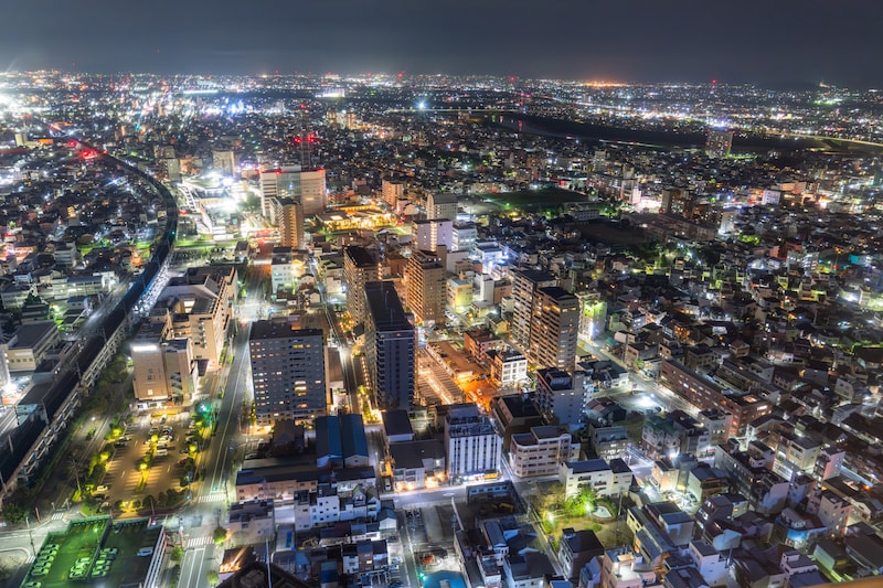 「大大大大大好物」　岐阜の“優雅なフォルムの銘菓”がお土産としても大人気！　「この鮎みたいに昇っていけたらいいなぁ」「縁起が良いのも節句を前に嬉しい」