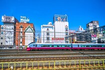 【画像：ランキング29位～1位を見る】