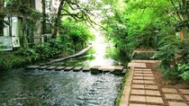「長年の人気理由は一口食べればわかります」　“三島駅の人気土産”ランキング上位に「2時間かけて買いに行っちゃうくらい好き」「クレープで包んだ伊豆の逸品」の声