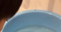 3歳息子が洗面器で大事に育て始めたのは……「脱走の心配はなさそうw」　ママ困惑の“まさかの正体”に「名前つけるか！」「それだけで100点」
