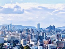 【画像：ランキング10位～1位を見る】