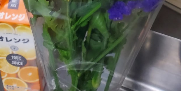 妻「誰か助けて」→フィリピン人夫からバレンタインデーの花束をもらったら…… まさかの光景に「愛はある!笑」「悪気はないんだけど」