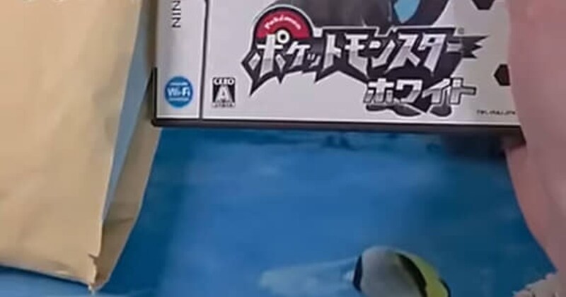 子どものころは、ワクワクしながら開けていた「ゲームのパッケージ」→15年後……　“現在の中身”に「哀愁を感じる」
