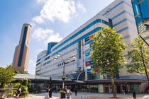 【画像：ランキング10位～1位を見る】