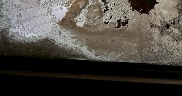 雪が降った札幌→ふと“窓”を見ると……「エルサでも来たんか」　もはや芸術的な光景に「笑笑笑笑笑笑」「ご機嫌斜めっぽいですね」