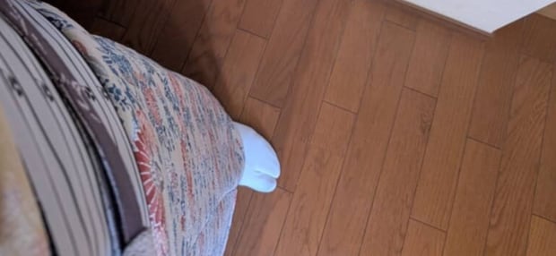 着物で出かけようとした女性→「着物の敵」に遭遇し悲鳴　“まさかの正体”に「ソイツは天敵です！」「私もやられました」