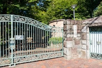 【画像：ランキング22位～1位を見る】