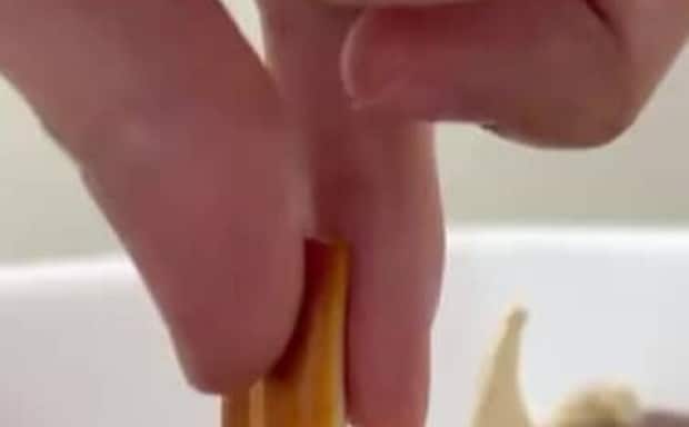 ビーバーの前歯をつまんで引っ張ってみたら……　“衝撃の光景”が67万表示「わああ!!!!」「そんな構図になってたの！？」