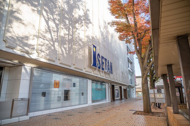 「食べる手が止まらない」 瑞花の“極薄えびせん”が美味しすぎると話題 「あっという間に一袋」「揚げ物なのに罪悪感ゼロ」