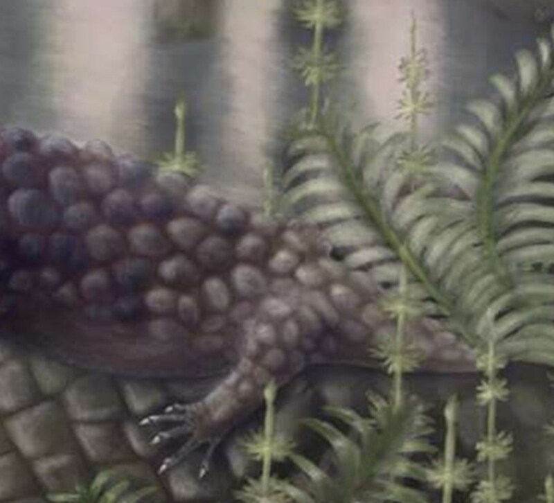 最古の“草食の起源”か？　定説を揺るがす3億年前の草食陸上動物「ティラノロテール・ヘベルティ」とは【海外】