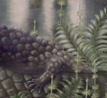 最古の“草食の起源”か？　定説を揺るがす3億年前の草食陸上動物「ティラノロテール・ヘベルティ」とは【海外】