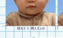 1歳赤ちゃんの“証明写真”→とんでもない仕上がりが話題　「明日から就職できそう」「即採用！」「おりこうすぎる」