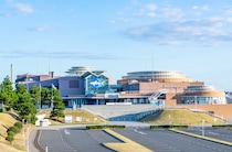 「控えめに言って最高」 “行ってみたい日本の水族館”といえば？　ランキング上位に「家族連れでも大人でも楽しめる内容」「サメ沢山いてガチ最高すぎ」の声