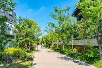 「一番住みやすいし大好き」　永住したいと思う「東京23区」ランキング第1位に集まった声！　「ちょっと路地に入れば静かでイイ街」「商店街がめちゃくちゃ雰囲気いい」