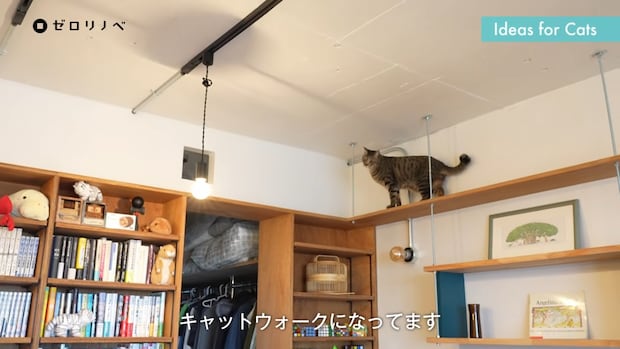 “猫も人も心地よい家”を実現したら……　互いの暮らしやすさを融合させたマンションリノベに「素晴らしく実用的…！」「理想的、かつお手本のようなお部屋」