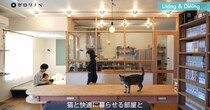 “猫も人も心地よい家”を実現したら……　互いの暮らしやすさを融合させたマンションリノベに「素晴らしく実用的…！」「理想的、かつお手本のようなお部屋」