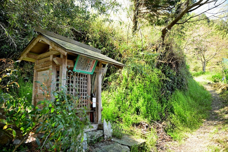 「いつかこんな所に住みたい」　永住したい“和歌山県の街”第1位に「何やかんやで比較的住みやすい地方都市」「景色綺麗でいいな」の声