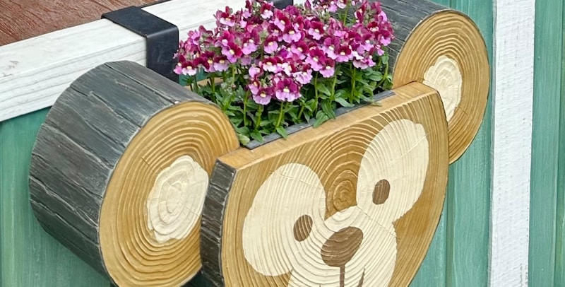 休止中のディズニーのレストラン→窓からのぞいてみたら……「かわいすぎて号泣」　まさかの光景に「見てるだけで疲れが吹き飛びました」