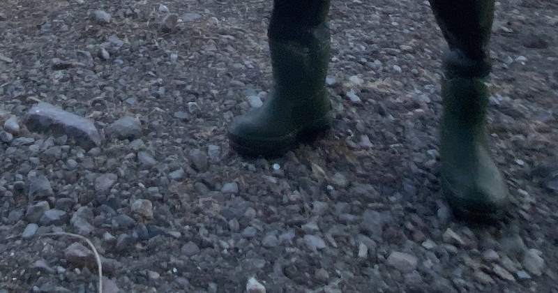 冬の湖で釣りをしていたら……「おわかりいただけただろうか」　目を疑う“衝撃の光景”が話題「夜にこれ見たら叫びます」
