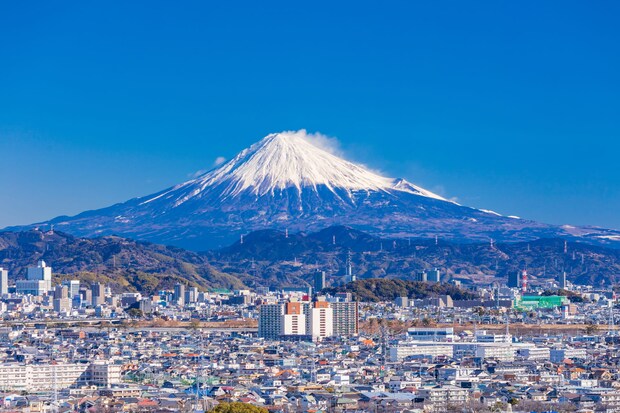 「なにこれ」「5個買い足した」静岡の老舗の“キャラメルもなか”が衝撃のおいしさと話題　「一発でファンになりました」「パリッ＆ねっとりがやみつき」