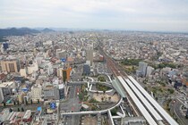 【画像：ランキング30位～1位を見る】