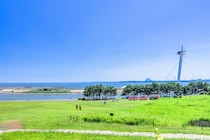 【画像：ランキング20位～1位を見る】