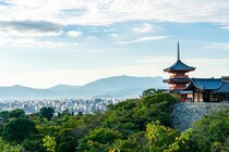 「うれしすぎて拝んでしまいます」京都土産“やわらかクッキー”が人気　「しっとり生地とレーズンがおいしい」「包装も美しい」
