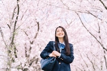 【画像：ランキング30位～1位を見る】