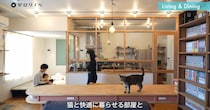 “猫も人も心地よい家”を実現したら……　互いの暮らしやすさを融合させたマンションリノベに「素晴らしく実用的…！」「理想的、かつお手本のようなお部屋」