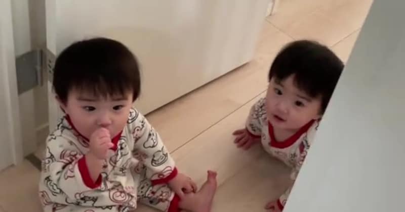 洗面所にやってきた1歳の双子兄弟→ママが掃除機をかけると……　驚きの光景に「一生見てられる」「AIでもこんな動き出せんよ」と780万再生