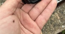なくしたG-SHOCK→1年後に排水路から発見、液晶を見たら……「凄いを通り越して恐怖」　まさかの光景が43万表示「マジで!?」「耐久テスト超えてる」