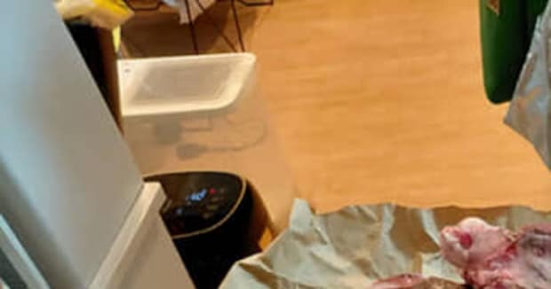 知り合いの猟師「鹿肉いりますかー？」→欲しいと言ったら……　衝撃の光景に「想像の20倍」「びっくりするんだがww」