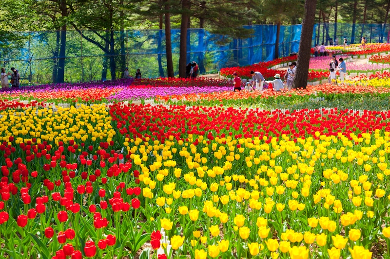 「一見読めそうだけども」　岩手県の“難読な市町村名”って？　ランキング上位に「あまりにもハイキューだった」「オタクが喜ぶ町」の声