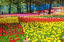 【画像：ランキング25位～1位を見る】